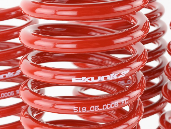 Skunk2 94-01 Acura Integra Lowering Springs (2.50in - 2.25in.) (Set of 4) - eliteracefab.com