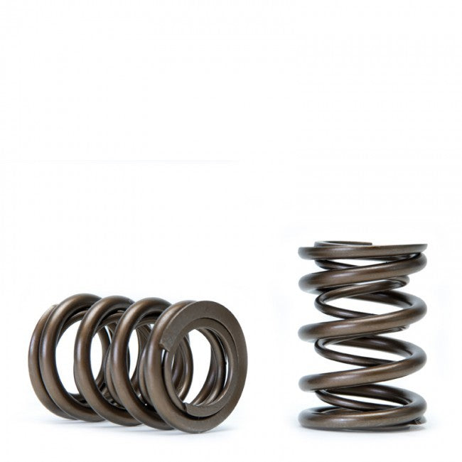 Skunk2 Tuner Series Honda/Acura (B16A/ B17A/ B18C) DOHC VTEC Alpha Valve Spring Set (Dual Springs) - eliteracefab.com