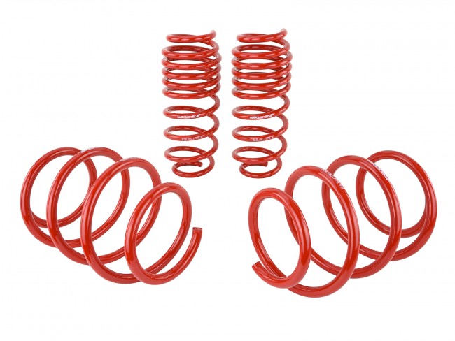 Skunk2 16-17 Honda Civic Lowering Springs (1.375in - 1.25in) (Set of 4) - eliteracefab.com