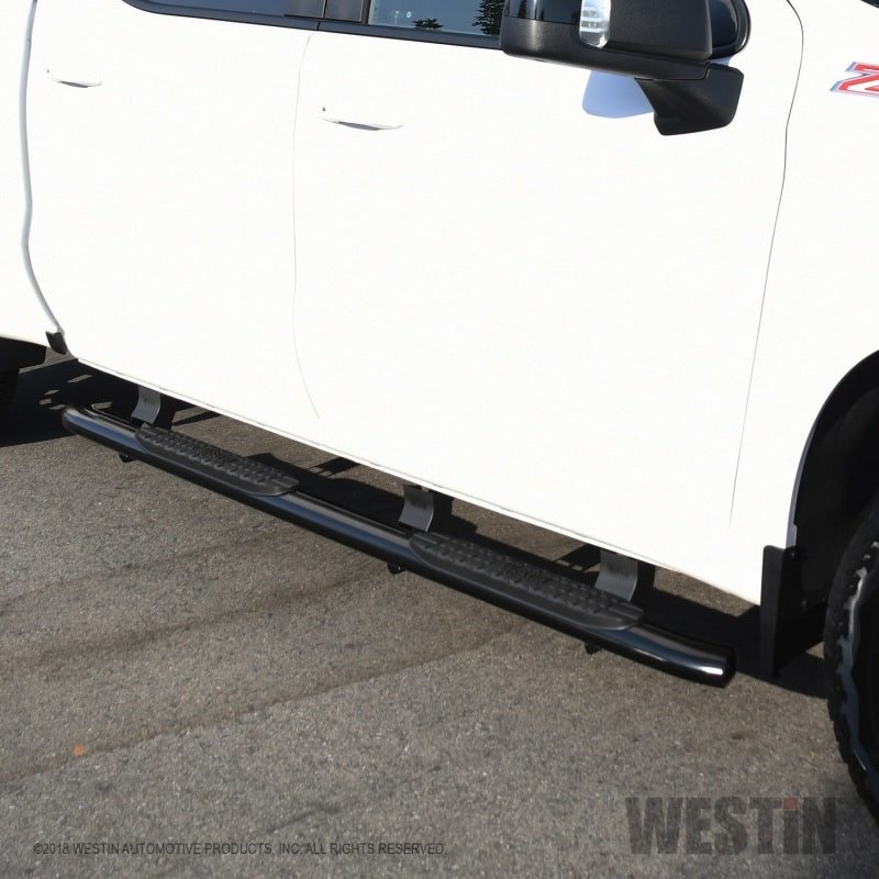 Westin 2019 Chevrolet Silverado/Sierra 1500 Crew Cab Non LD PRO TRAXX 4 Oval Nerf Step Bars - Black - eliteracefab.com