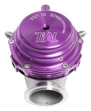 Load image into Gallery viewer, TiAL Sport 002950 MVR Wastegate 44mm (All Springs) w/V-Band Clamps - Purple