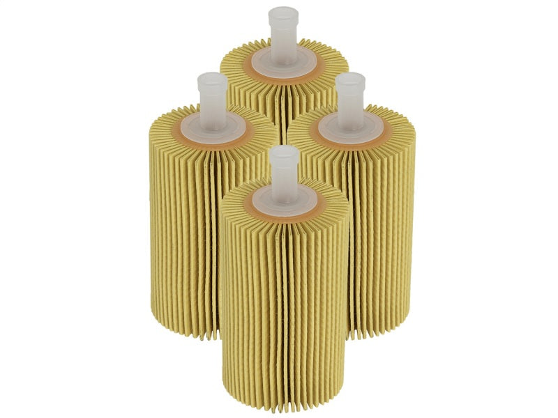 aFe Pro GUARD D2 Oil Filter 07-17 Toyota Tundra/Sequoia V8 4.6L/5.7L (4 Pack) - eliteracefab.com