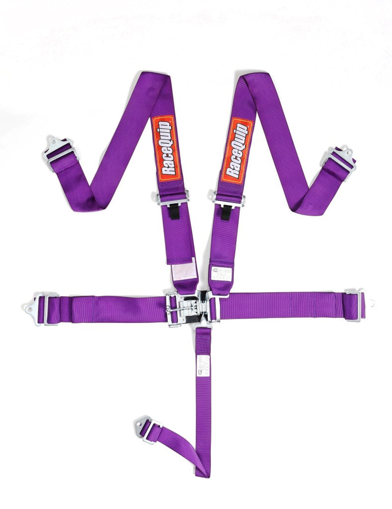 RaceQuip Purple L & L 5pt Seat Belt - eliteracefab.com