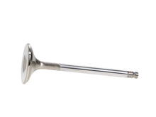 Load image into Gallery viewer, Manley Nissan Patrol 35.5mm Race Master Exhaust Valves (Set of 12)