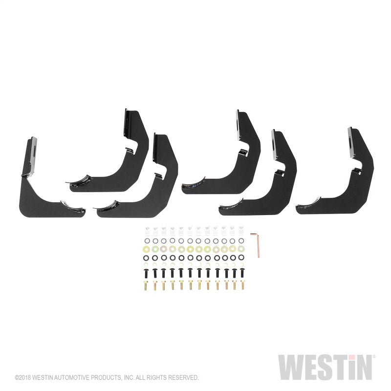 Westin 2019 Ram 1500 Crew Cab (Excl. 1500 Classic) PRO TRAXX 4 Oval Nerf Step Bars - SS - eliteracefab.com