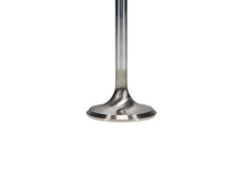 Load image into Gallery viewer, Manley SBC 1.600 Severe Duty Exhaust Valves (Set of 8)