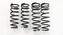 Load image into Gallery viewer, RS-R 01-06 Lexus LS430 (UCF30/31) Super Down Springs - eliteracefab.com