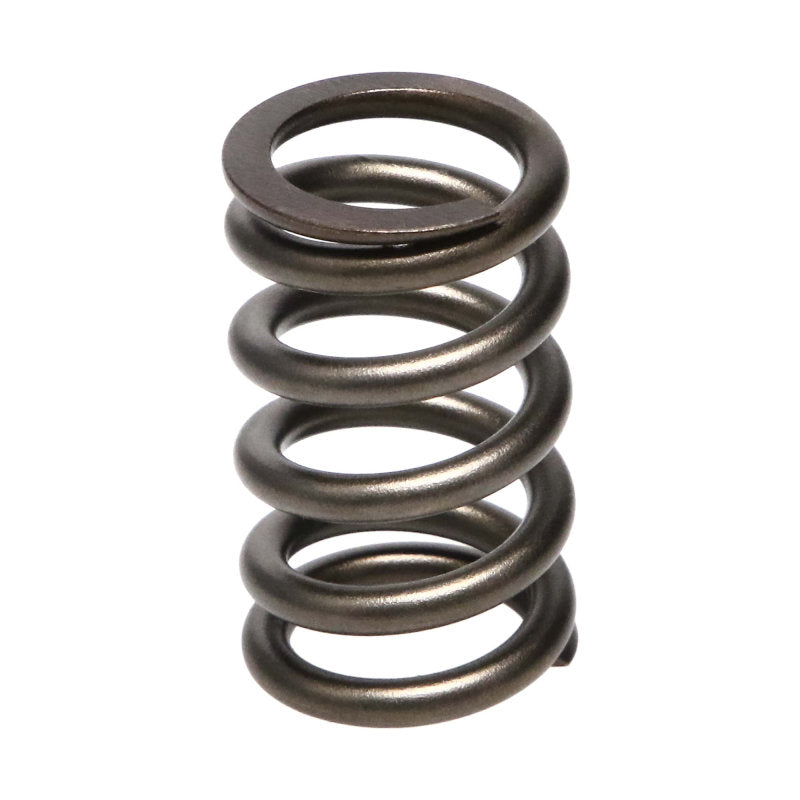 Manley Dodge SRT-4 16pc Valve Springs Manley Performance