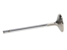 Load image into Gallery viewer, Manley Ford 4.6L/5.4L Small Block SOHC Extreme Duty Exhaust Valves (Set of 8)