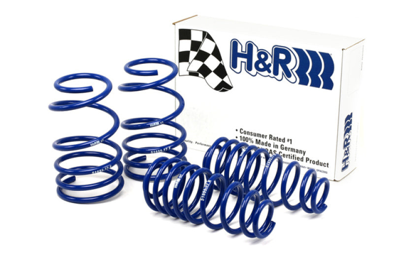 H&R 05-09 Ford Mustang/Convertible/GT/Shelby GT/Shelby GT-H V6/V8 Super Sport Spring - eliteracefab.com