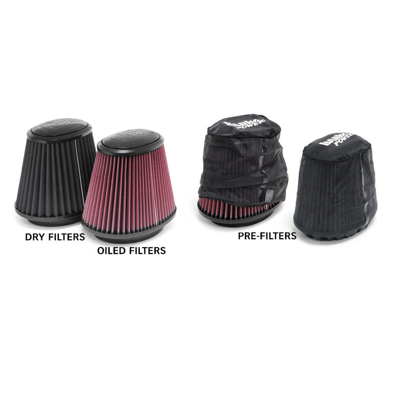 Banks Power 94-02 Dodge 5.9L Ram-Air Intake System - Dry Filter - eliteracefab.com