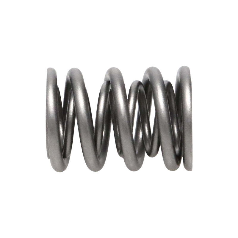 Manley Nissan (KA24DE) 16pc Valve Springs Manley Performance