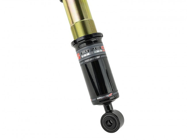 Skunk2 17-20 Honda Civic Si Pro-ST Coilovers - eliteracefab.com