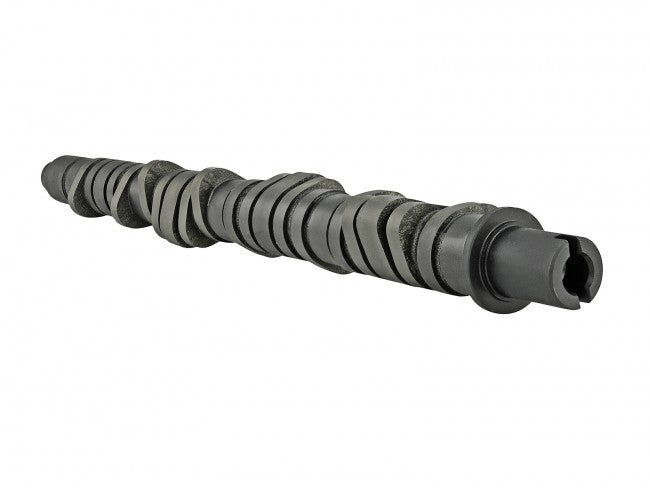 Skunk2 Tuner Series D-Series Honda Stage 2 Camshaft - eliteracefab.com