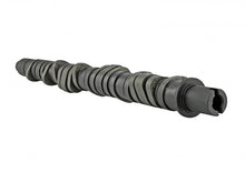 Load image into Gallery viewer, Skunk2 Tuner Series D-Series Honda Stage 2 Camshaft - eliteracefab.com