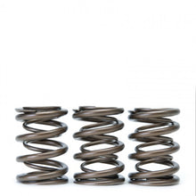 Load image into Gallery viewer, Skunk2 Tuner Series Honda/Acura (B16A/ B17A/ B18C) DOHC VTEC Alpha Valve Spring Set (Dual Springs) - eliteracefab.com