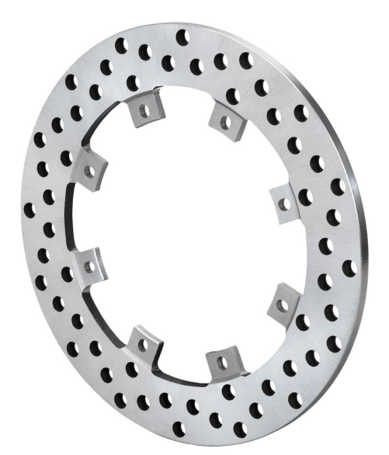 Wilwood Super Alloy Drilled Rotor - 8x7.00in Wilwood