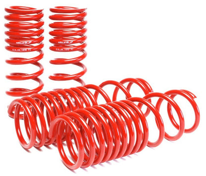 Skunk2 90-97 Honda Accord (All Models) Lowering Springs (2.00in. - 1.80in.) (Set of 4) - eliteracefab.com