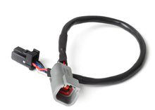 Load image into Gallery viewer, Haltech 3in CAN Adaptor Cable DTM-4 Female Receptacle/Socket to 8 Pin Black Tyco - eliteracefab.com