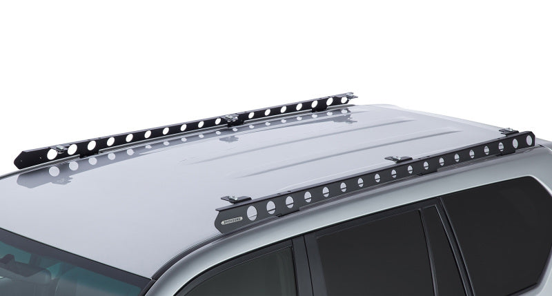 Rhino-Rack 2010-2023 Lexus GX 460 4dr Base Backbone Mounting System - RTPB1