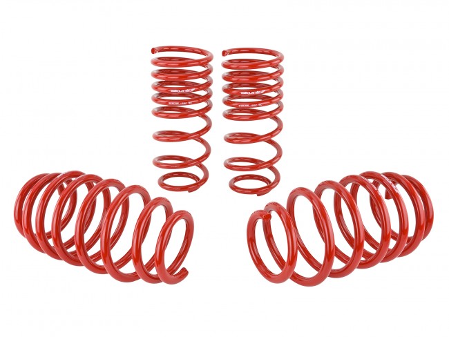 Skunk2 06-09 Honda Civic Lowering Springs (2.25in - 2.00in.) (Set of 4) - eliteracefab.com