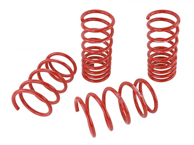 Skunk2 90-93 Acura Integra Lowering Springs (2.50in - 2.25in.) (Set of 4) - eliteracefab.com