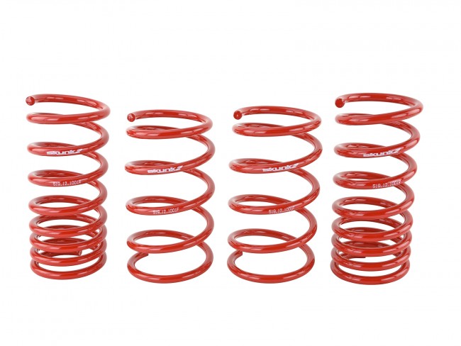 Skunk2 90-93 Acura Integra Lowering Springs (2.50in - 2.25in.) (Set of 4) - eliteracefab.com