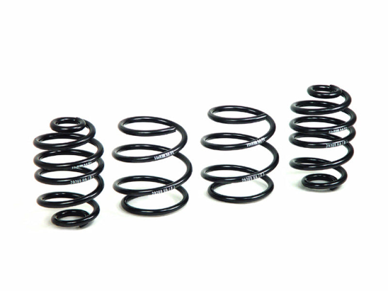 H&R 03-08 BMW Z4 E85 Sport Spring - eliteracefab.com