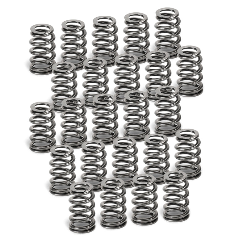 Supertech BMW N54 Conical Valve Springs - Set of 24 Supertech