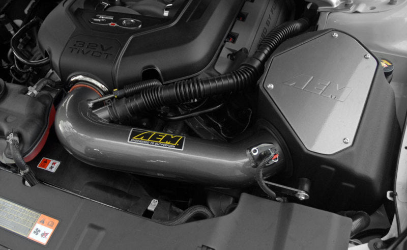 AEM 11 Ford Mustang 5.0L V8 Brute Force Cold Air Intake System - eliteracefab.com