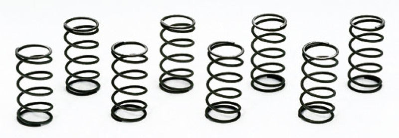 Moroso Valve Checking Springs