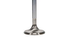 Load image into Gallery viewer, Manley Ford 289/302/351W 1.550 Race Flo Exhaust Valves