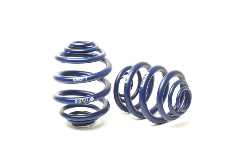 H&R 94-03 Volkswagen Eurovan T4 Sport Spring - eliteracefab.com