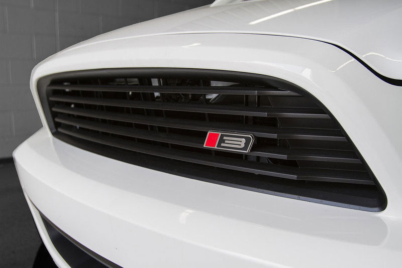 ROUSH 2013-2014 Ford Mustang 3.7L/5.0L Black Upper Grille Kit - eliteracefab.com