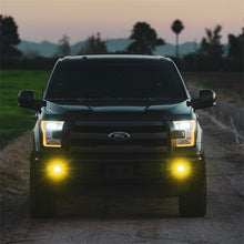 Load image into Gallery viewer, Rigid Industries D-Series SAE Fog Yellow/White Pair - eliteracefab.com