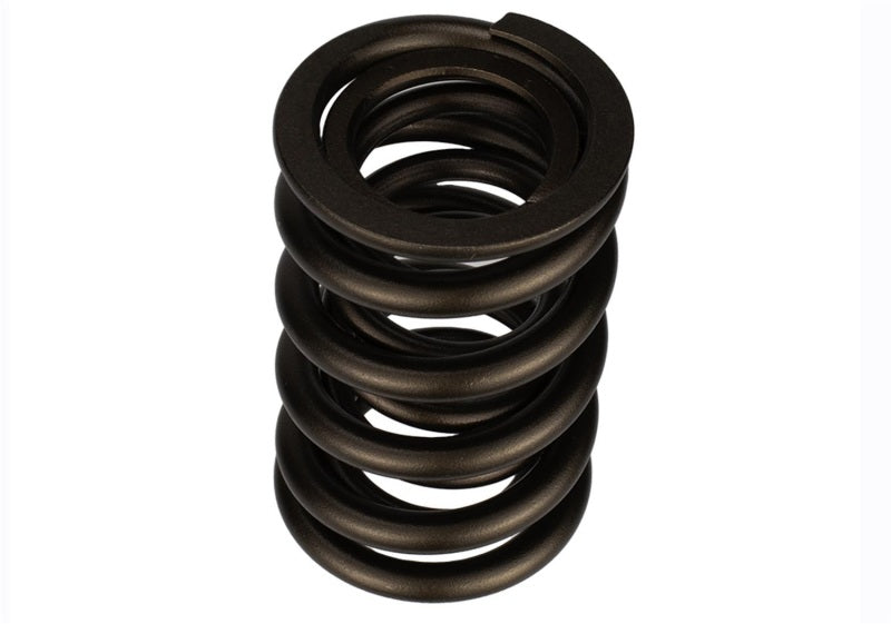 Ford Racing Replacement Valve Springs (TVS-1734) - Set Of 8 Ford Racing