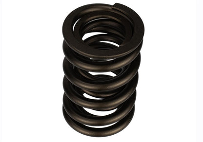 Ford Racing Replacement Valve Springs (TVS-1734) - Set Of 8 Ford Racing
