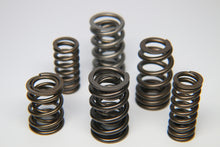 Load image into Gallery viewer, Ferrea Acura/Honda K20 Chrome Silicon Dual Valve Spring - Set of 16 - eliteracefab.com