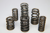 Ferrea Suzuki G10 Dual Valve Spring - Single