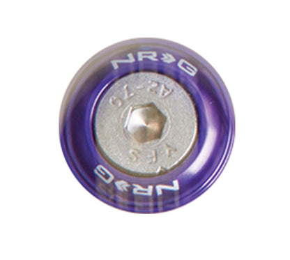 NRG Fender Washer Kit w/Rivets For Metal (Purple) - Set of 10 - FW-110PP