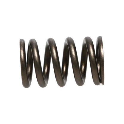 Manley Nissan (RB26DET) 24pc Valve Springs Manley Performance