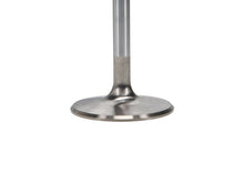 Load image into Gallery viewer, Manley Big Block Chevy Stock 3/8in Stem Diameter Severe Duty Intake Valves (Set of 8)