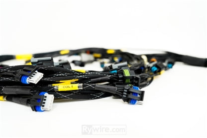 Rywire GM LS3 V8 E38 ECU Engine Harness w/Bosch MAP Option (Req PDM/Fuse Box/Mating Connector) - eliteracefab.com