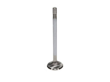 Load image into Gallery viewer, Manley Ford Coyote 5.0L 31.5mm Extreme Duty Exhaust Valves (Set of 8)