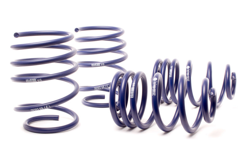 H&R 01-05 BMW 325Xi Sport Wagon E46 Sport Spring - eliteracefab.com