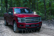 Load image into Gallery viewer, Diode Dynamics 15-20 Ford F-150/Raptor Sport SS3 LED Ditch Light Kit - White Combo