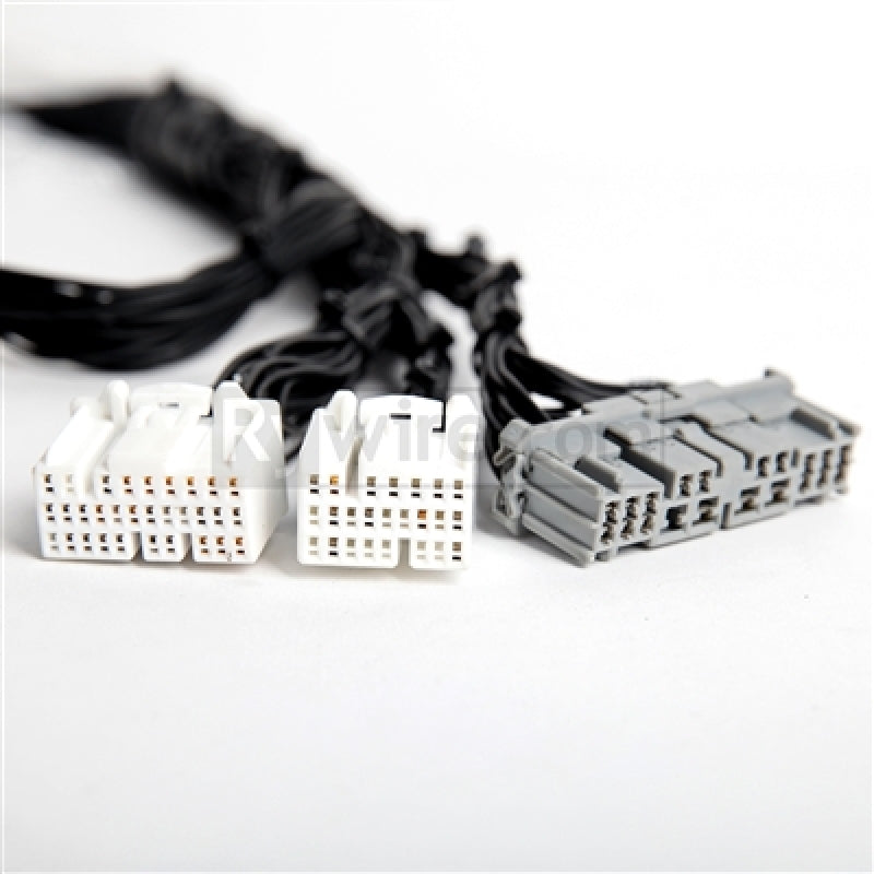 Rywire Honda K-Series Tucked Budget Engine Harness w/OBD2 02-04 RSX K20 Sensor/Firewall VSS - eliteracefab.com