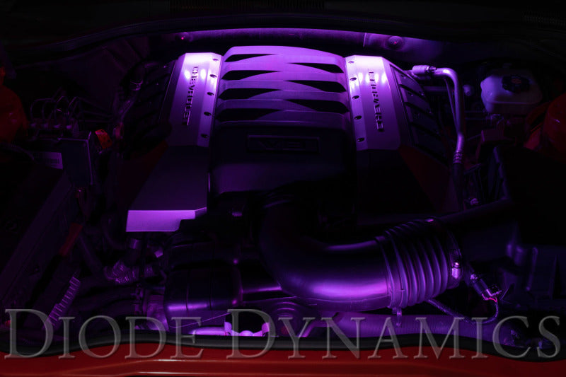 Diode Dynamics RGBW Engine Bay Strip Kit 2pc Multicolor Diode Dynamics