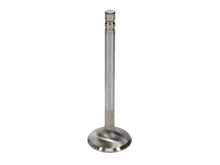 Load image into Gallery viewer, Manley SBC 1.6 Severe Duty Exhaust Valves (Set of 8)