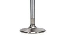 Load image into Gallery viewer, Manley Severe Duty Series BBC Stainless Steel Exhaust Valves 2.250in Dia 5.344in L - Set of 8